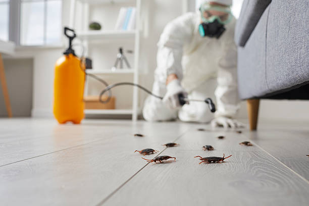 Trusted Rodent Control service in Shorewood Hills, WI - Nex Pest Control