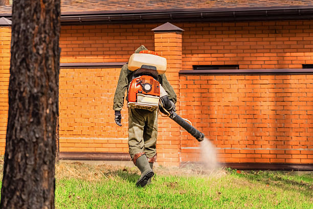 Trusted Bed Bug Control service in Shorewood Hills, WI - Nex Pest Control